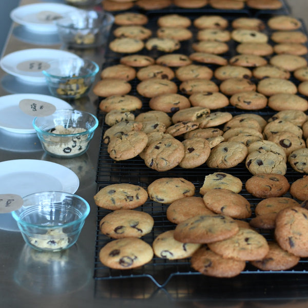 Science in the kitchen and learning to adapt and write recipes: reflections from Modules 5 & 6